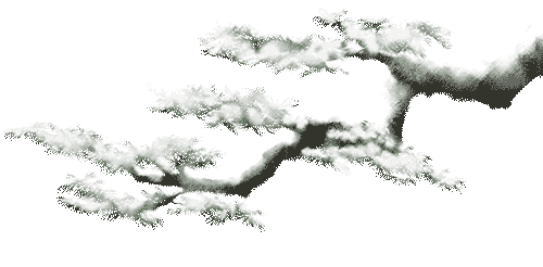 唐诗鉴赏：《望雪》