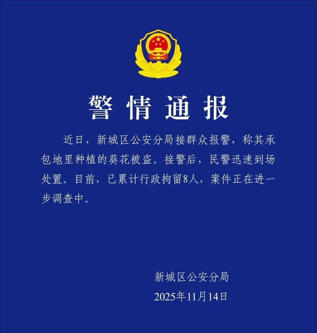 100亩向日葵遭周边村民哄抢破坏，警方已拘留8人！