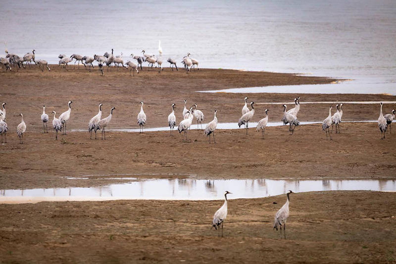 欢迎来到浪荡的精灵之森第二季奇幻冒险 结局悠一化解了精灵族与黑暗精灵的冲突
