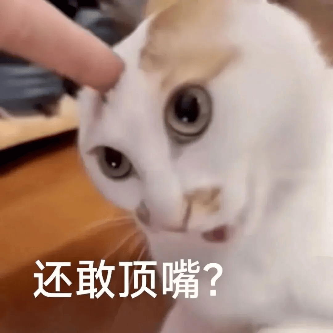 聊天必备可爱表情包