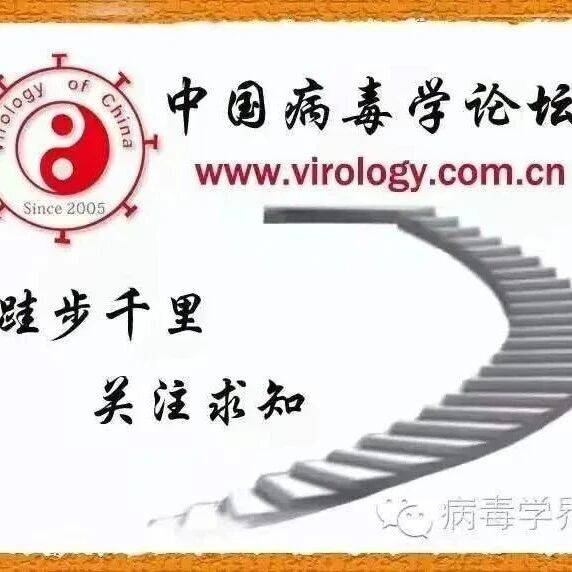 清华大学基础医学院丁强实验室诚聘博士后/技术员_工作_分子生物学_研究