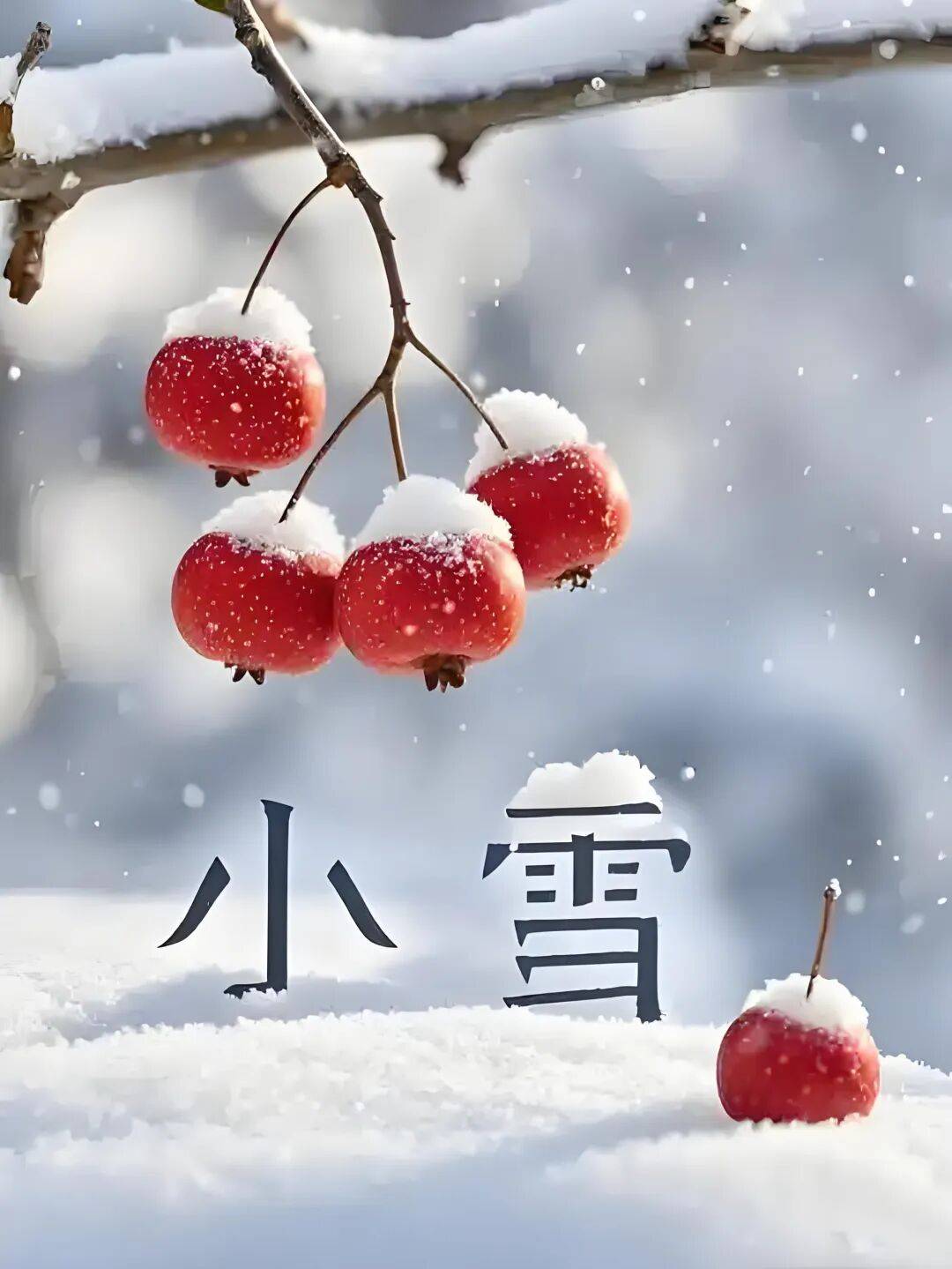 李长华小雪诗词八首