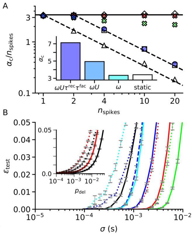 天津大学揭示大脑突触处理时空信息核心机制，为下一代AI提供支撑