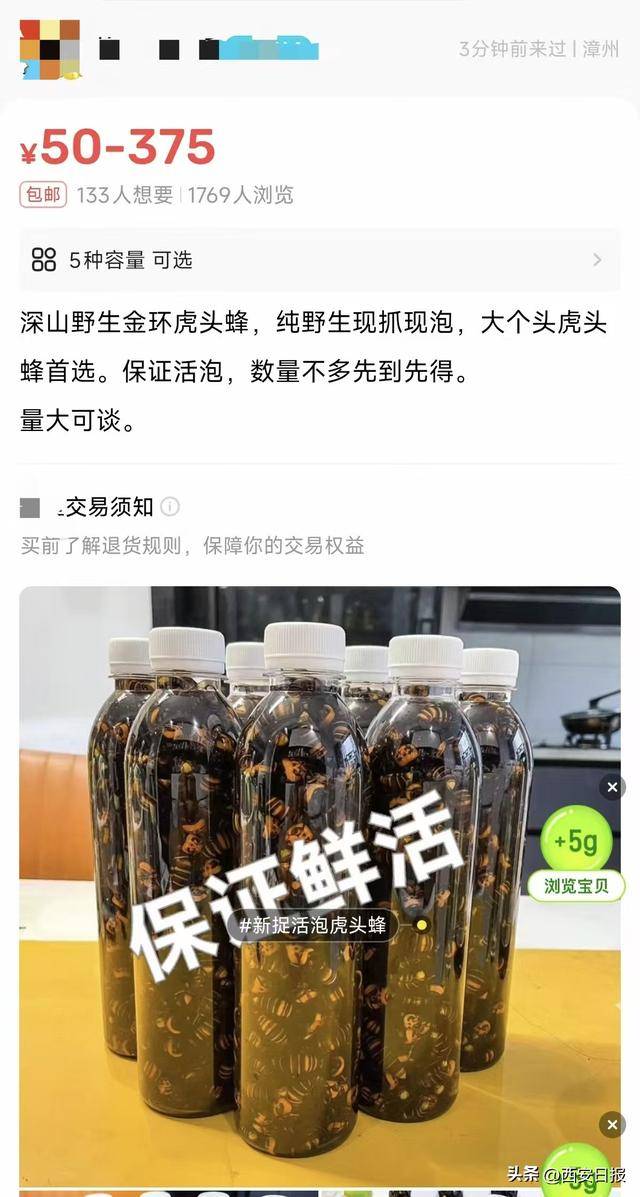 活毒蜂泡酒现身直播间:宣称“根治疾病” 专家提醒中毒风险(图2)
