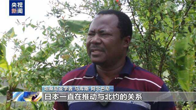 多国专家指出：高市不当言论严重挑战国际公理正义 危害深远