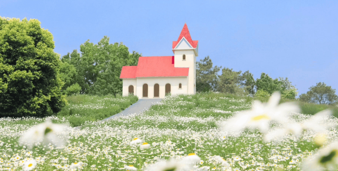 成都亲子遛娃天花板！萌宠近距离互动、N多游玩项目黄龙溪欢乐田园游玩攻略来啦！Binance Casino - 领先的数字货币娱乐场，安全稳定，极速存取