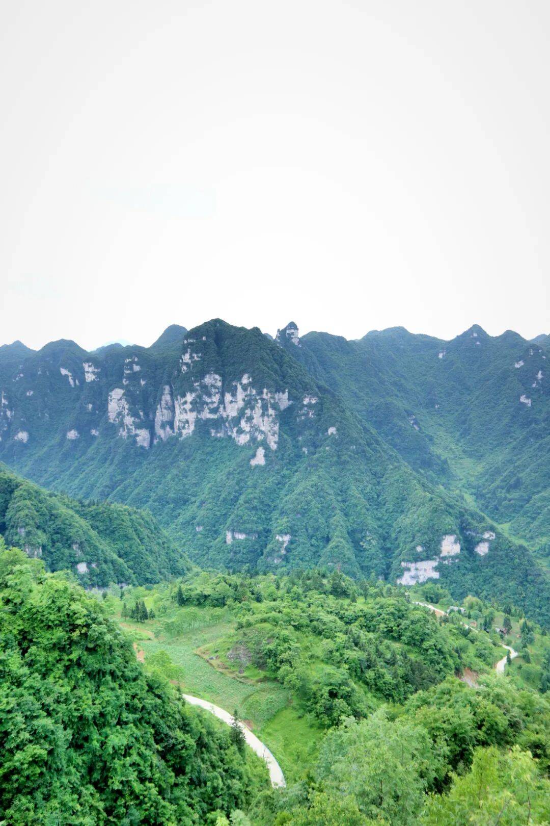 目前油杉河主要游玩区域为崔苏坝游览区和仙宇屯游览区