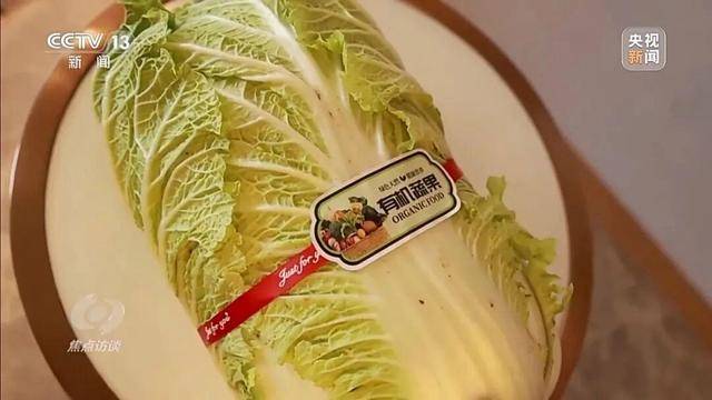 155元一棵白菜和9毛一斤的白菜一样?央视起底套牌菜