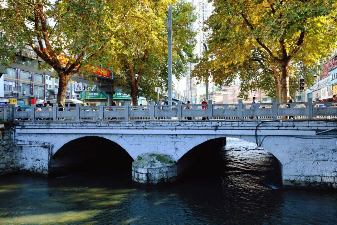 藏不住了,七星关原来有这么多桥