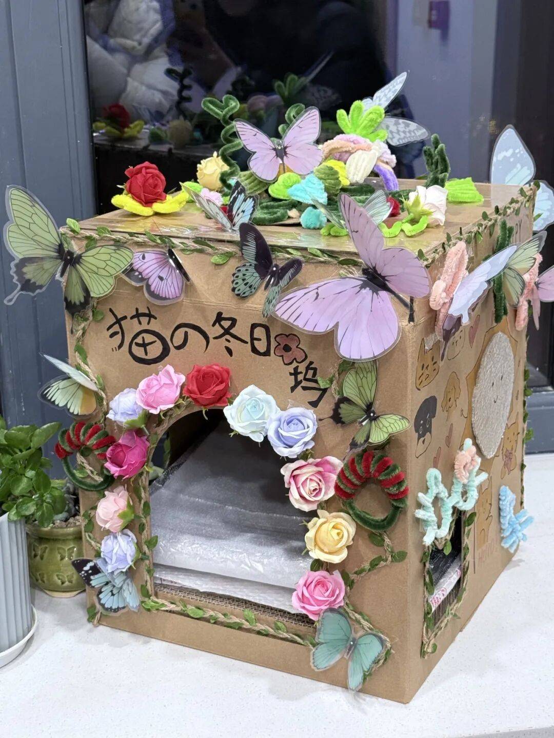 秋栖暖隅药学院 沈雨欣赵飞燕刘丹刘浩田何未32 猫猫狗狗限定纸箱