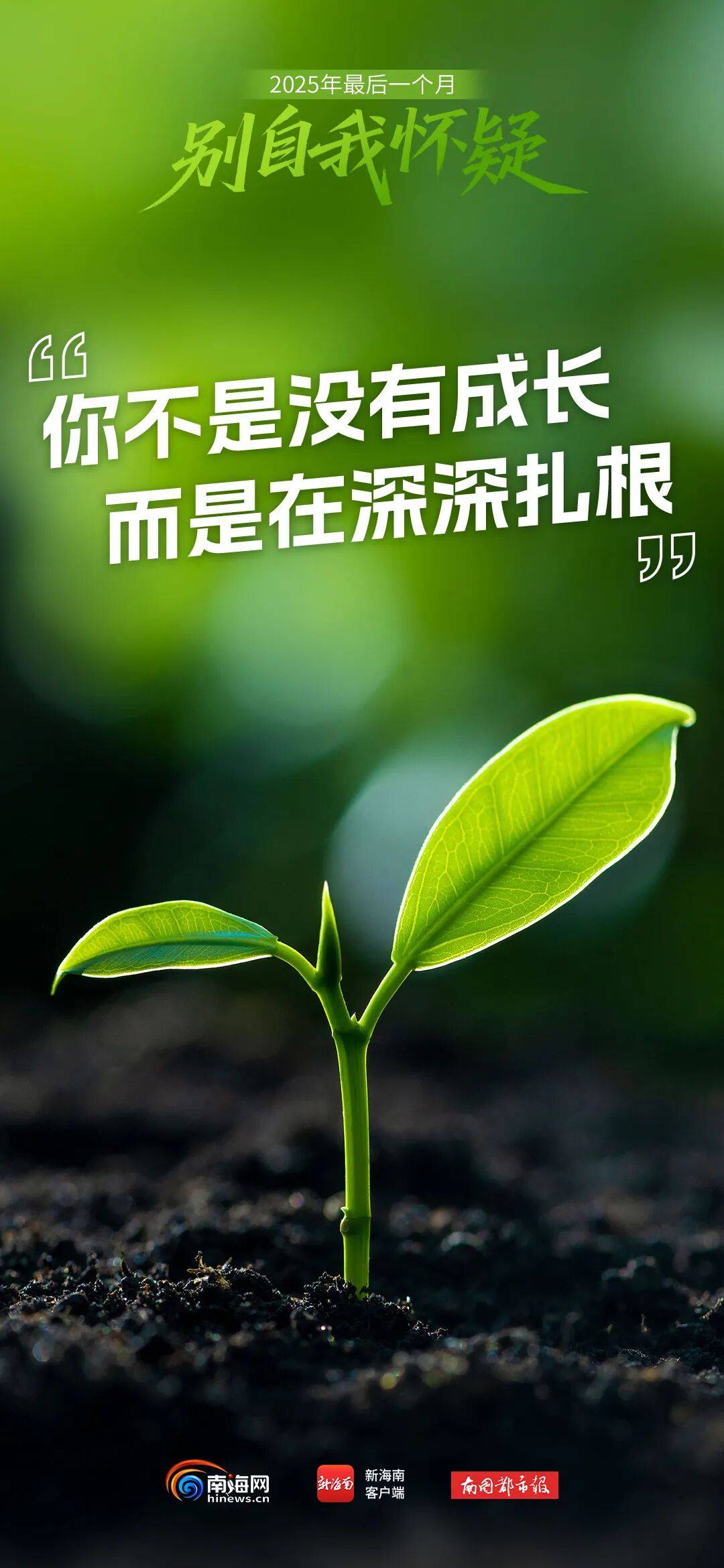 2025年最后1个月,加油!