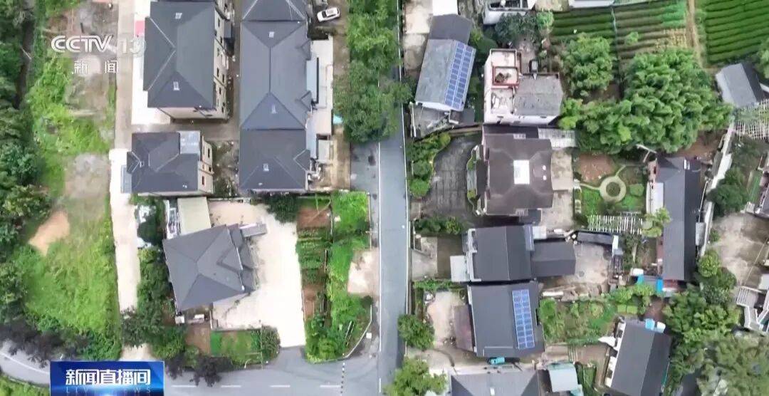 “吸毒记录等将被封存”引热议，权威专家解疑释惑