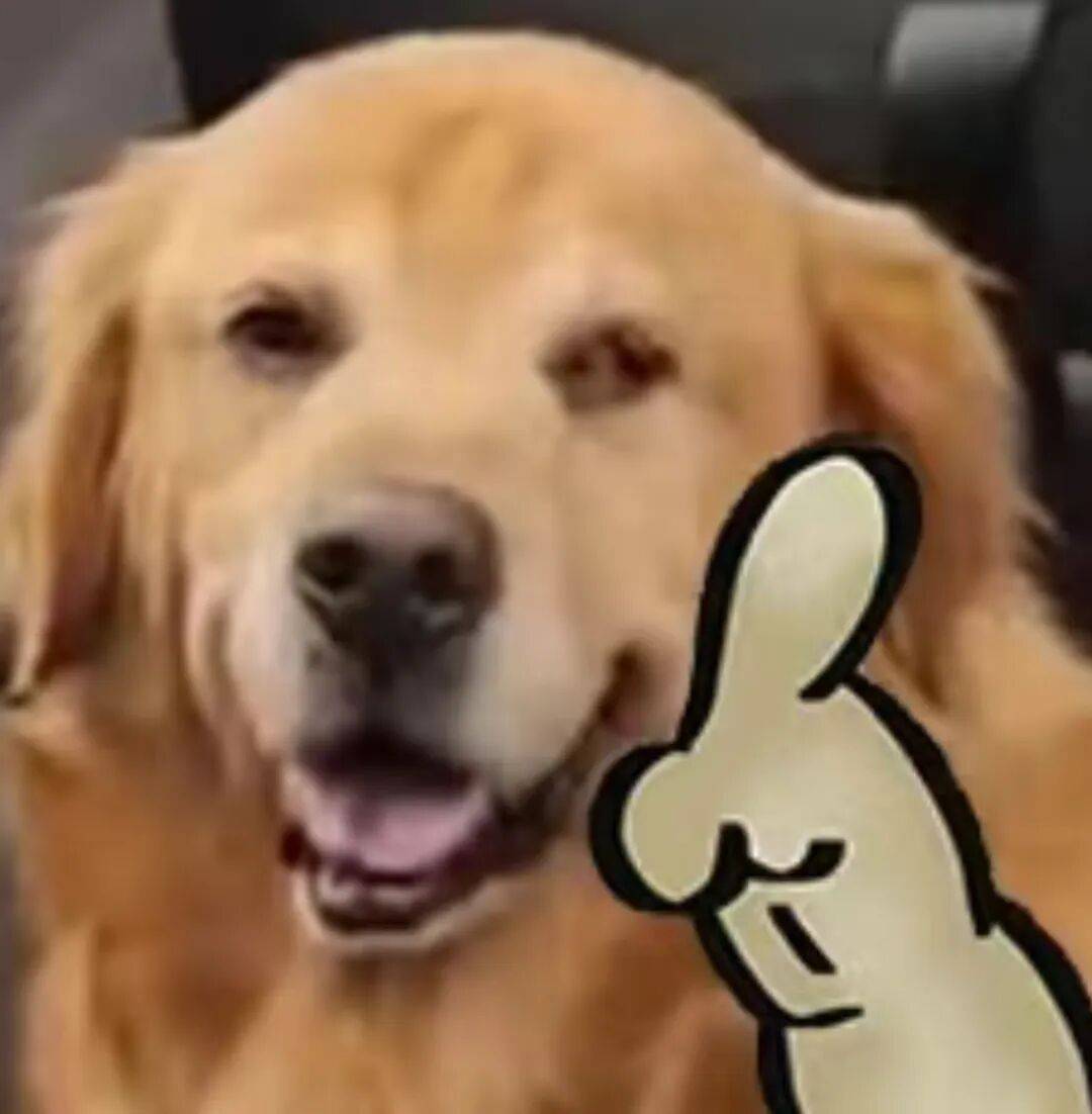 新国标要来了，你可能再也买不到9块9的充电宝了。