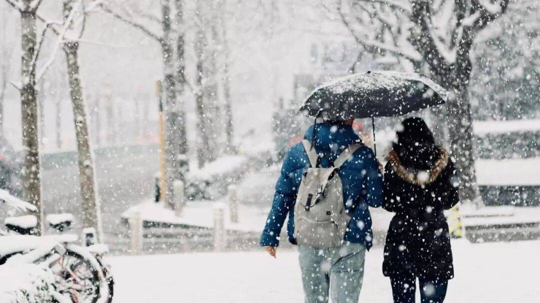 冬季为何骨折高发？可能需要补它