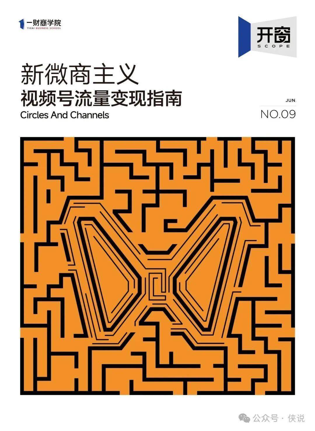 新微商主义视频号流量变现指南 