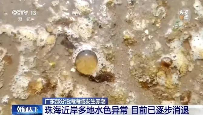 看似有趣的“爆爆珠”，可能带病菌！官方提醒：千万别碰