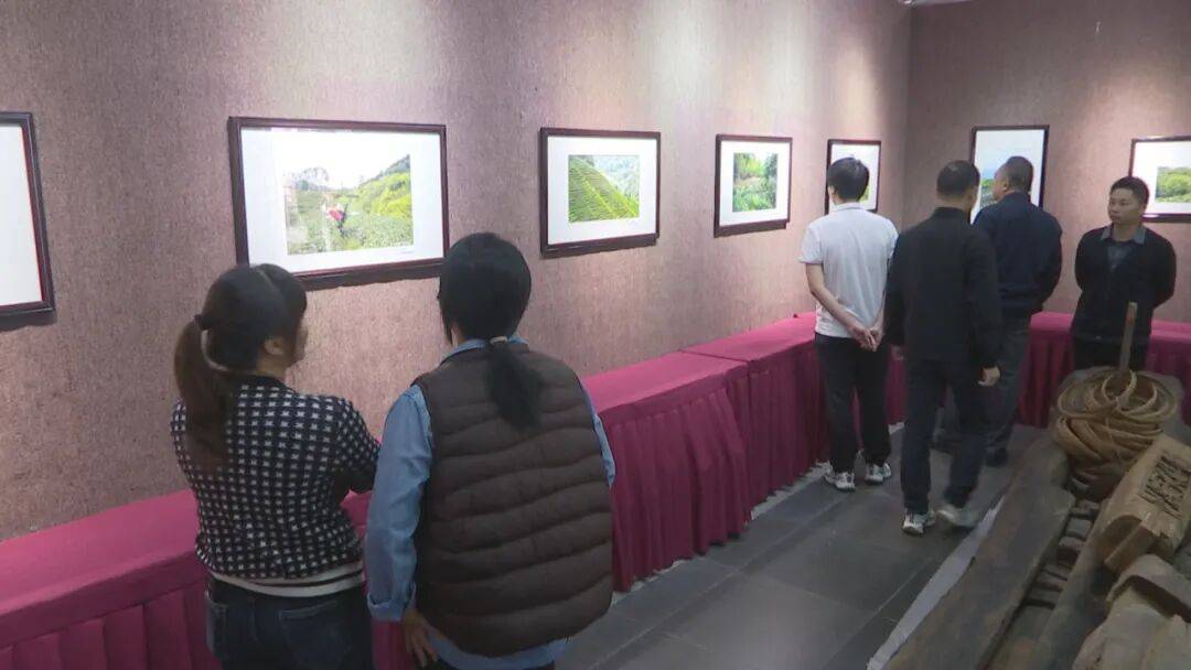 镜头为笔茶韵入画！这场影相展让紫金蝉茶的“美”看得睹