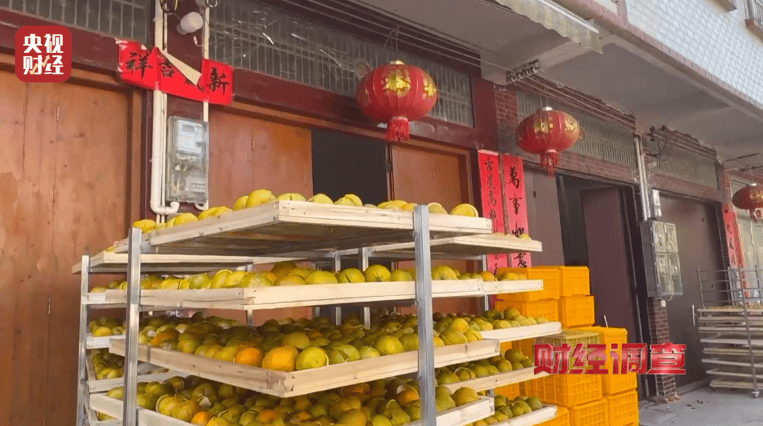 产地造假、年份速成、无视监管 央视曝光新会陈皮市场乱象(图11)