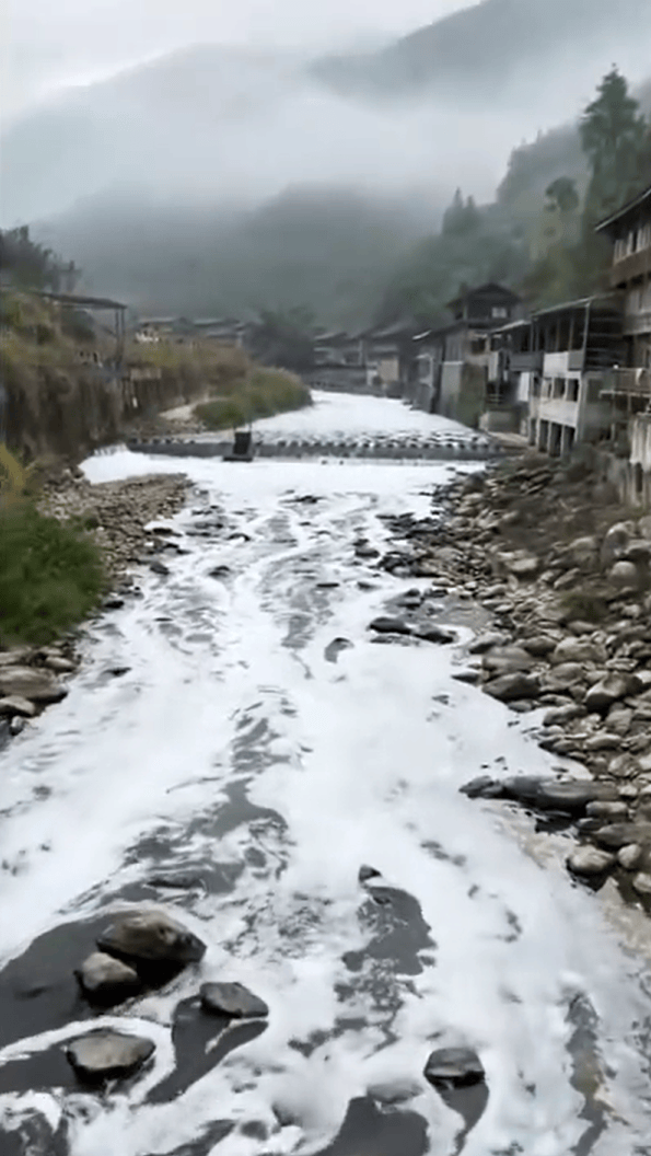 官方通报桂林一河段出现白色泡沫:龙胜生态环境局失职渎职(图2)