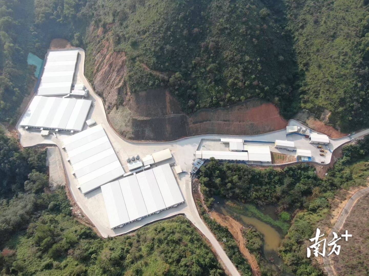 探访肇庆现代化养猪场：“二师兄”住上了智能精装房猪舍饲料处理 