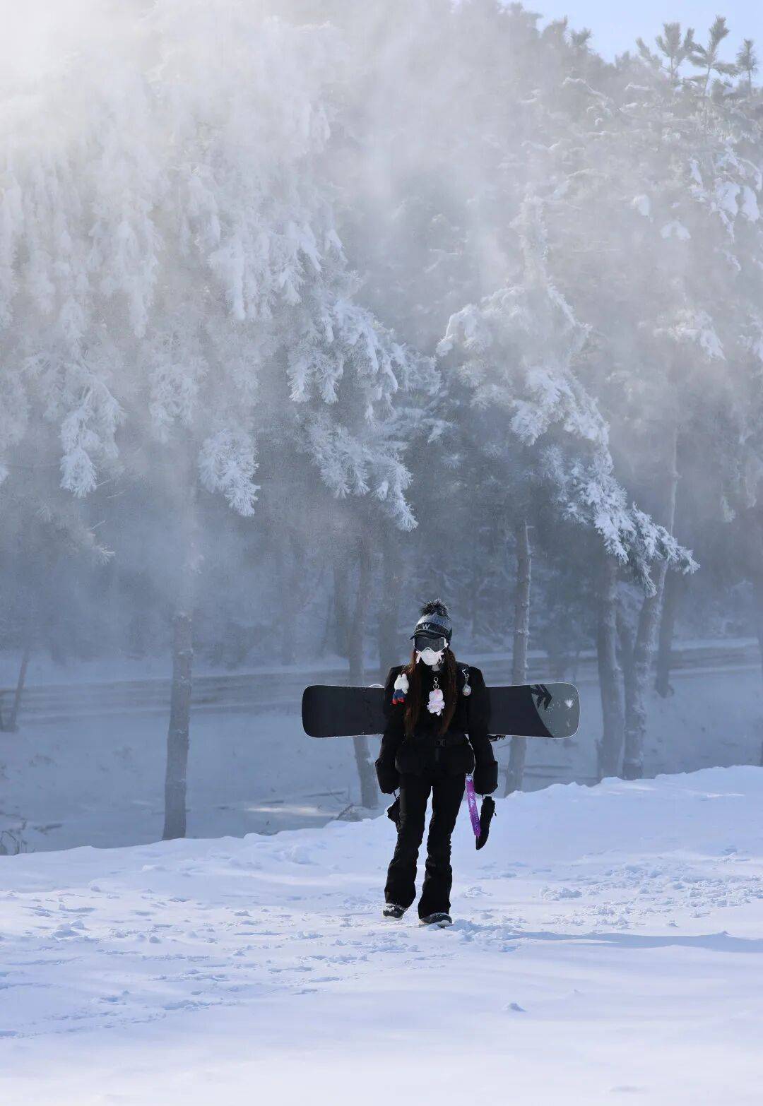 保定⇋七山滑雪旅游区滑雪直通车即将发车