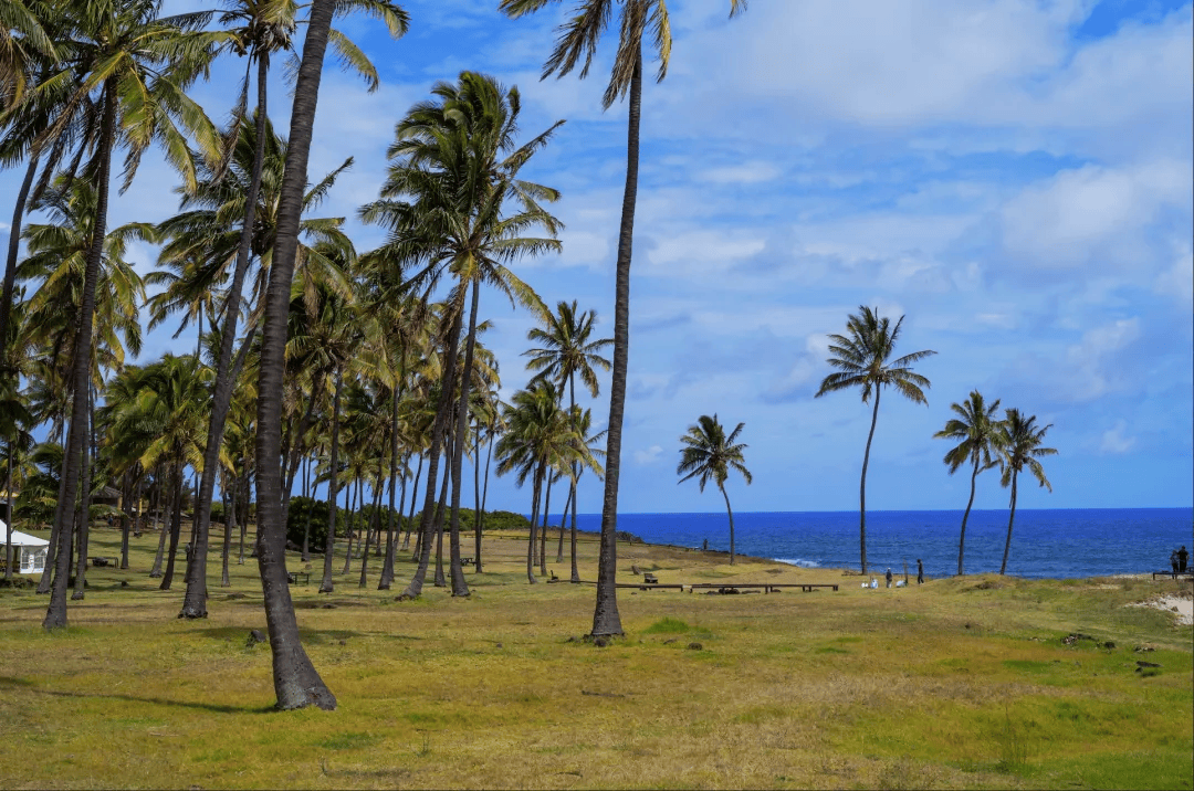 图片[14]-玩转这处小众神级海岛，真的不难！-华闻时空