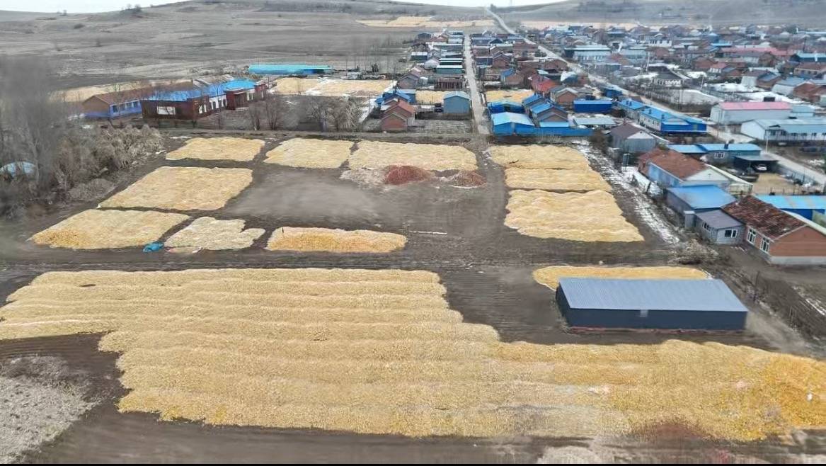 3.5米高的限高杆：村路保护与农户的运粮需求之争