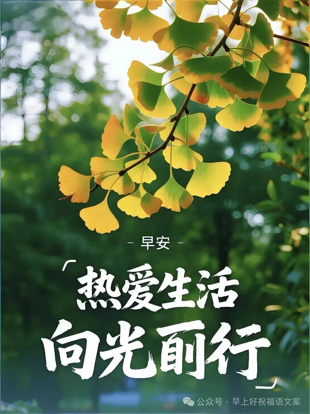 2025年12月24日最新版早上好漂亮的问候祝福早安祝福图片身体倍加好