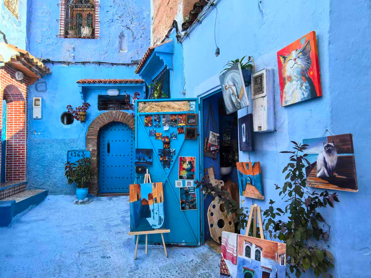 北非明珠”摩洛哥旅游业迎来爆发式增长中国成为增速最快客源市场之一_搜狐网