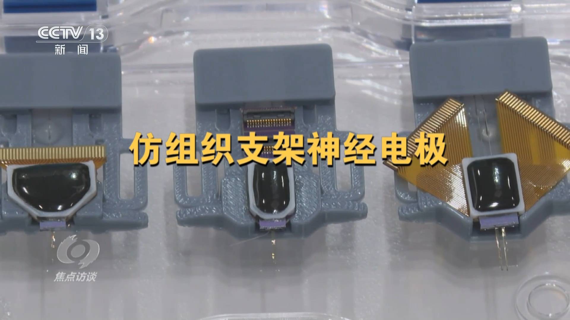 焦点访谈｜“心想”变“事成”！“十五五”规划建议布局脑机接口产业