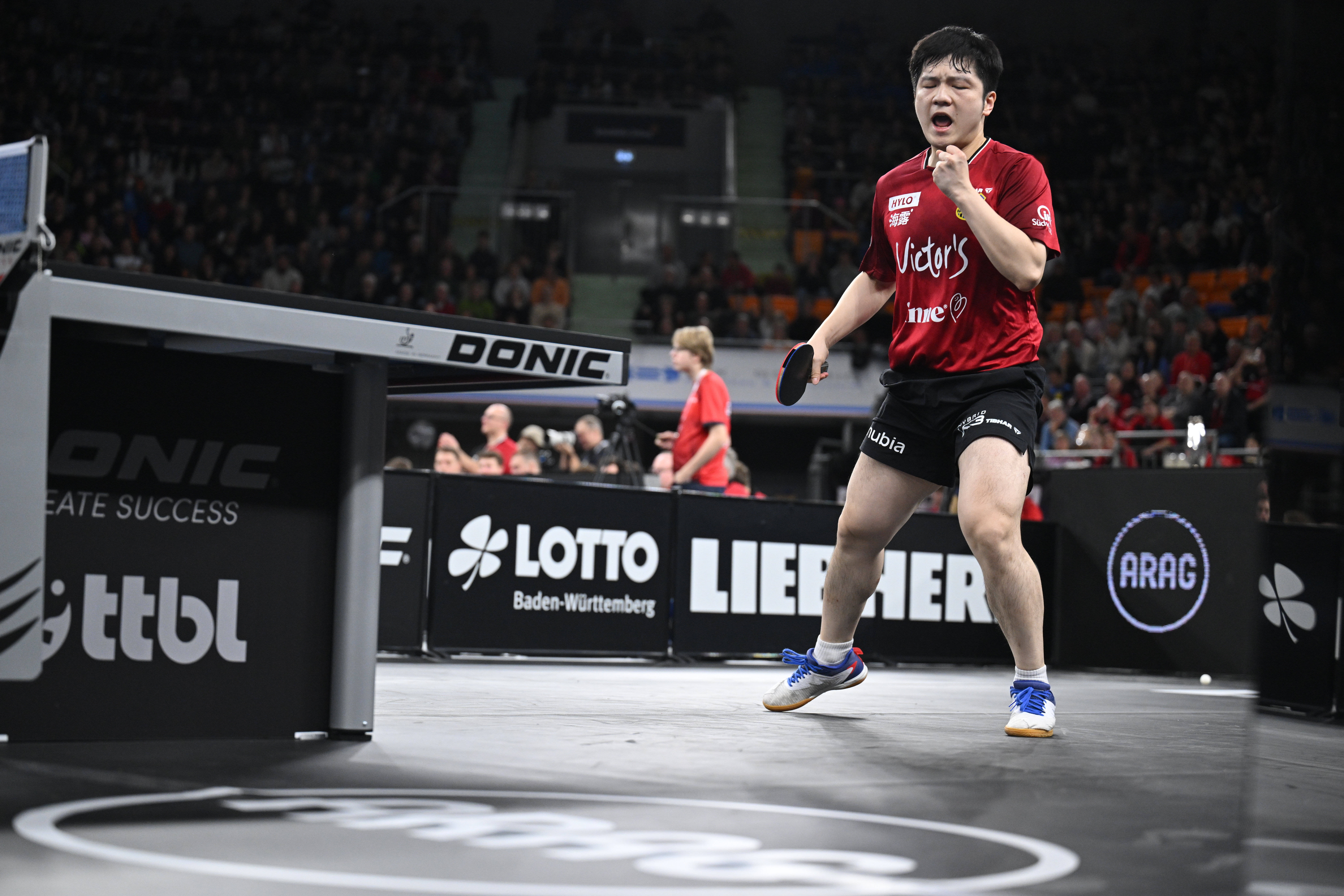 —樊振东率队晋级德国杯决赛