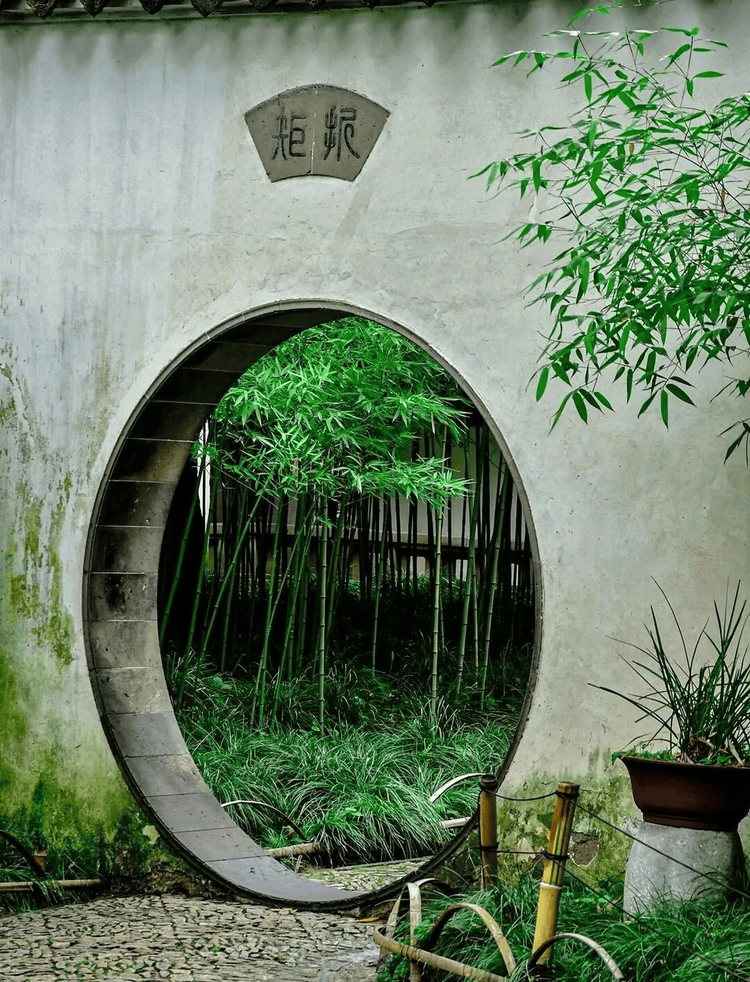 古人种竹法_竹有_滋泽_盖其根
