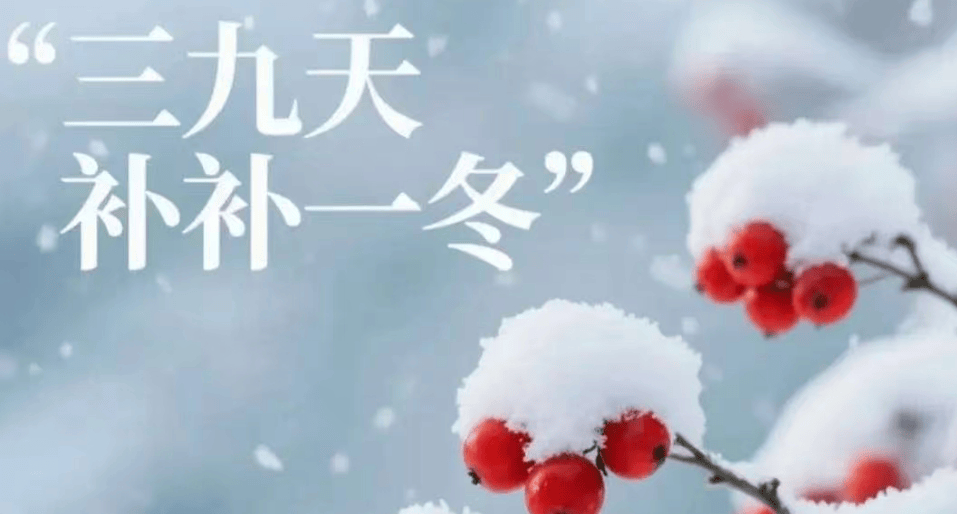 【时节】“三九”寒天至 传统习俗开启冬季养生模式_苏 颖_王海红_气血