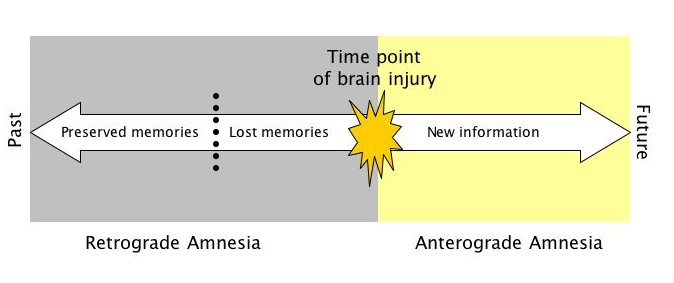 Transformer已死？DeepMind正在押注另一条AGI路线