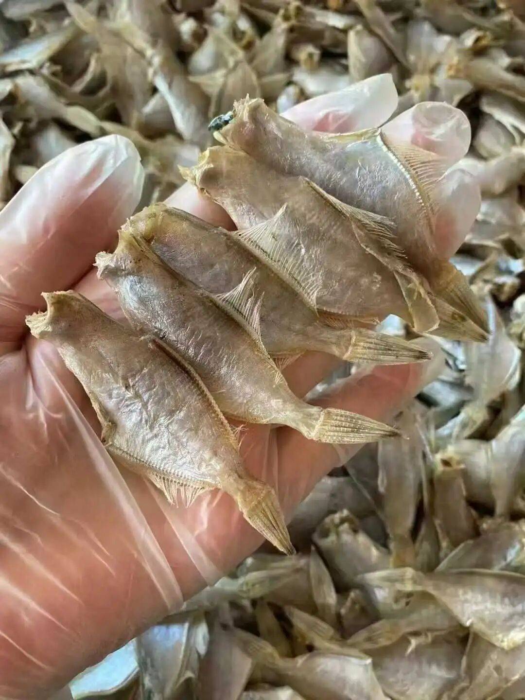 鲜扒皮鱼常吃不算啥！晒成鱼干可有试过吗！_阳光吻_上岸_lin