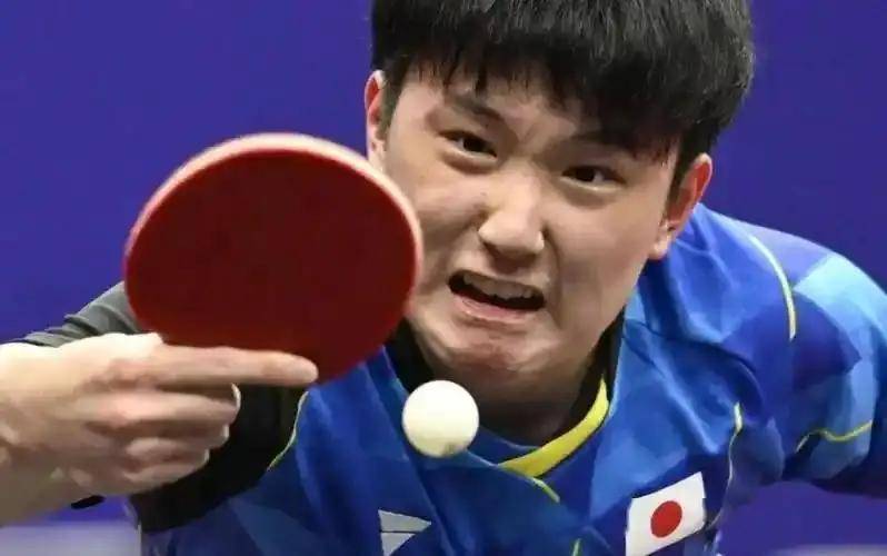 矛盾彻底爆发!张本智和职业博弈“叛逃”德甲藏惊天隐情