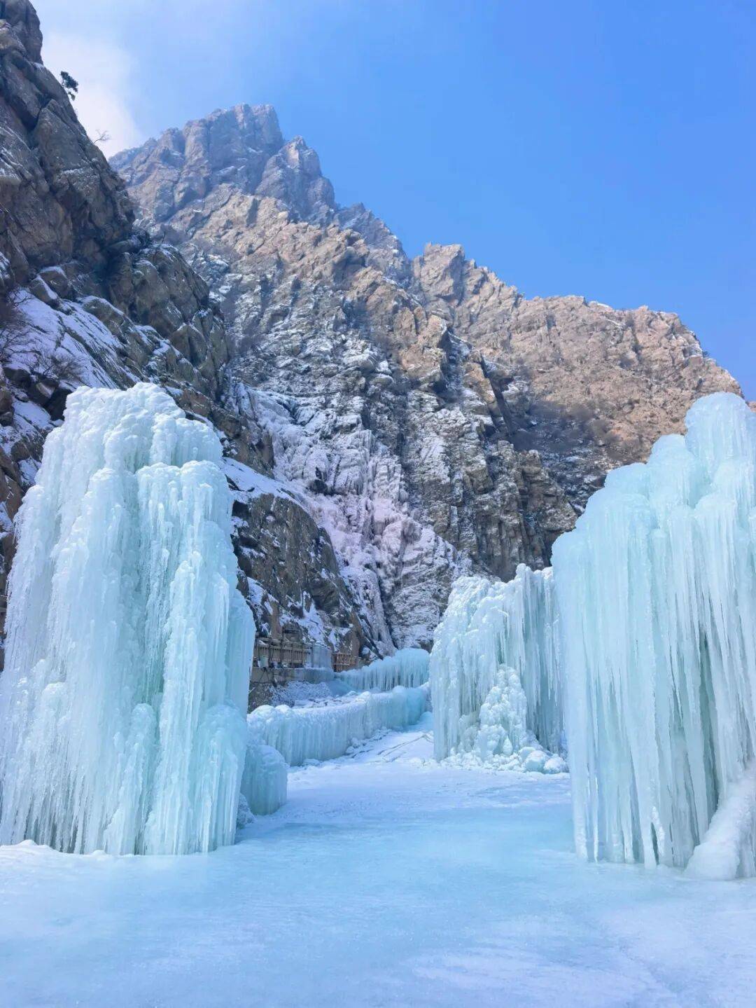 冬游宁夏 享受阳光丨明天去参加贺兰山岩画冰峰节吧~冰封玫瑰雪雕