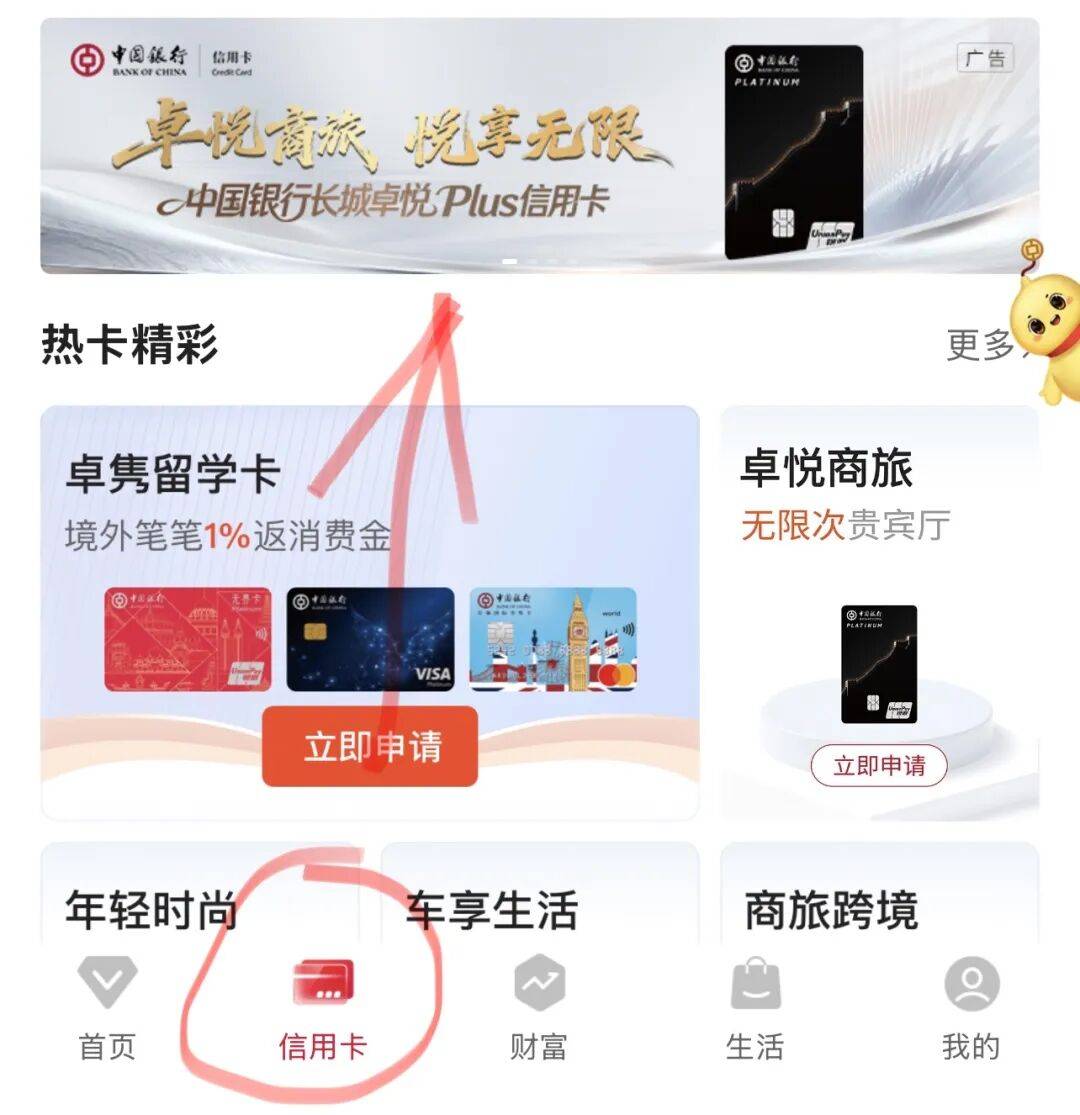 新卡亮相!享无限次机场贵宾厅,送京东E卡……_积分_消费_权益