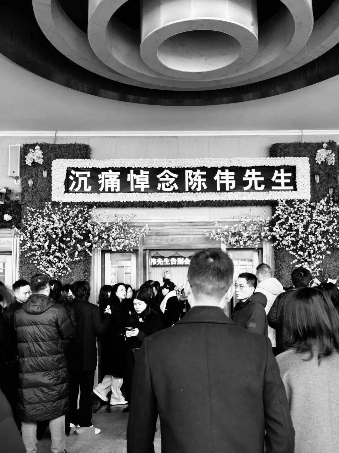 马云前助理陈伟去世