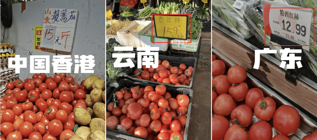 西红柿价格暴涨近10倍！“涨价将持续到3月！”