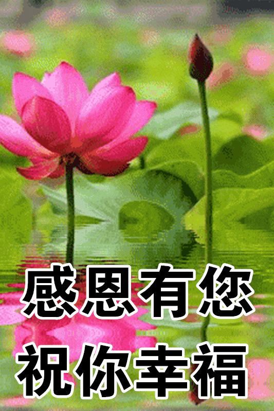 1月18日最漂亮早上好动态表情图片及早晨好动图美图大全 你连清晨都