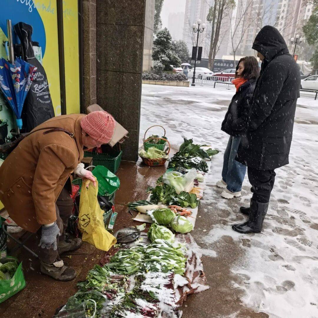“这么冷的天,你们还来……”_老人_巡查_风雪