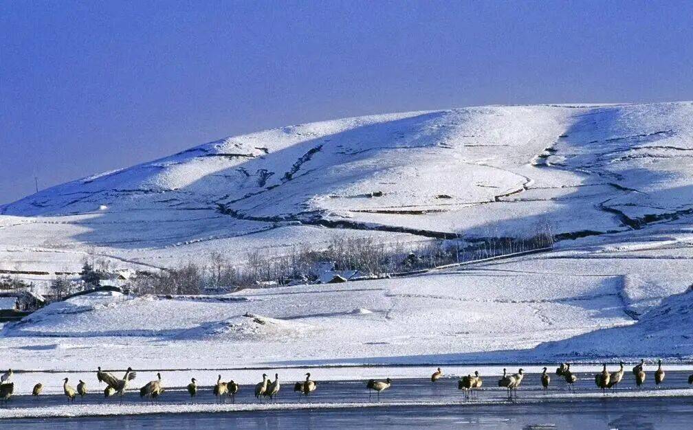 左手咖啡右手茶，一串一馍通古今——普洱直飞昭通、西安新航线启航