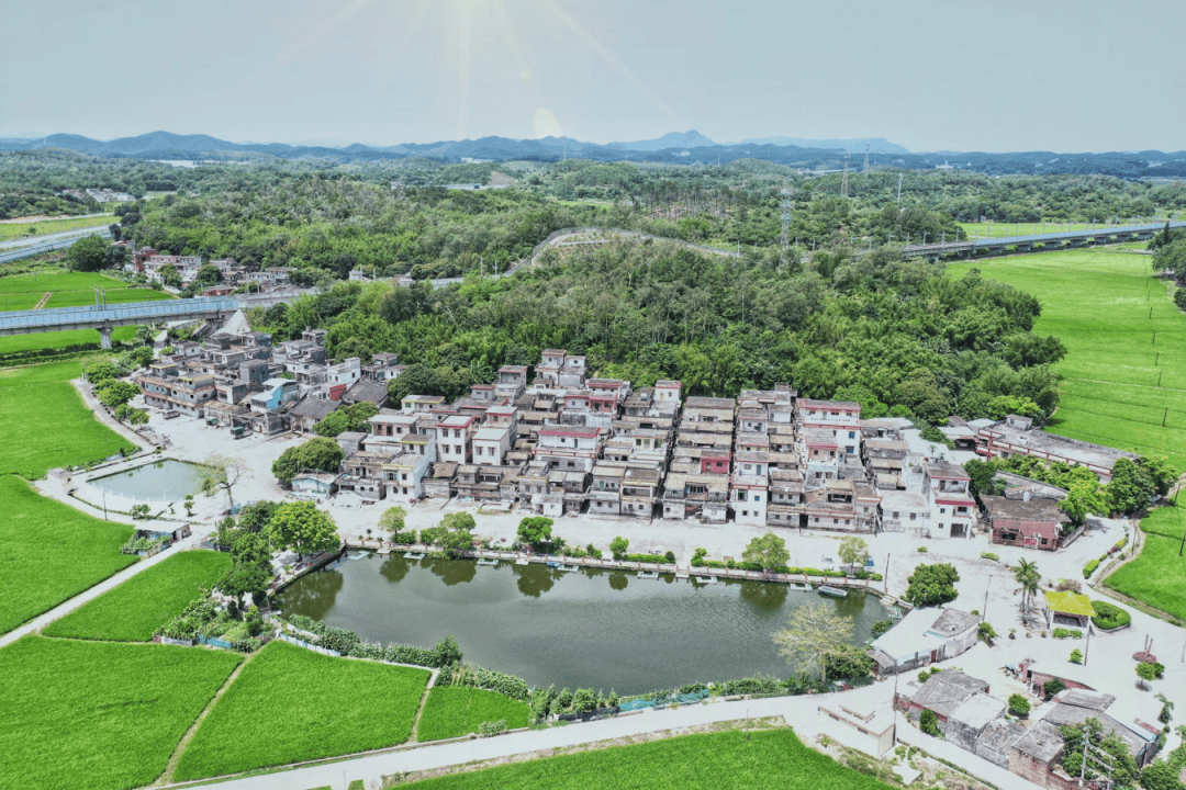 全省典型!为这些台山乡村点赞