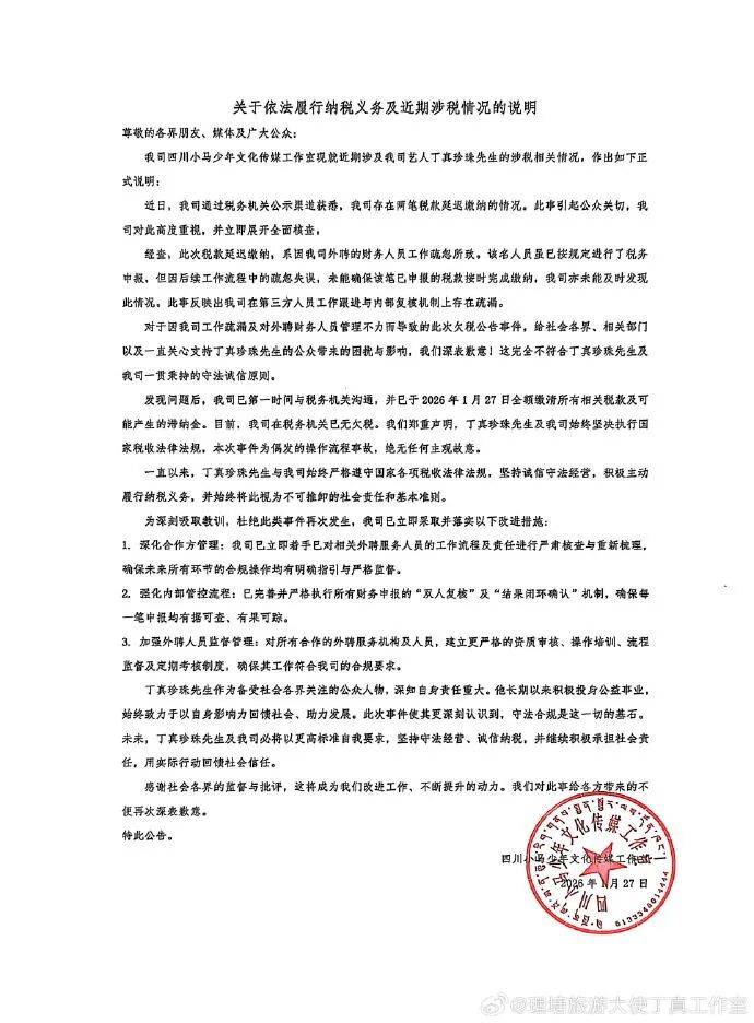 因欠税3.4万余元被公告，丁真名下工作室回应