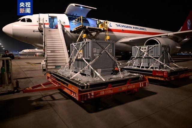 图片[3]-旅日大熊猫“晓晓”“蕾蕾”入住中国大熊猫保护研究中心雅安基地 -华闻时空