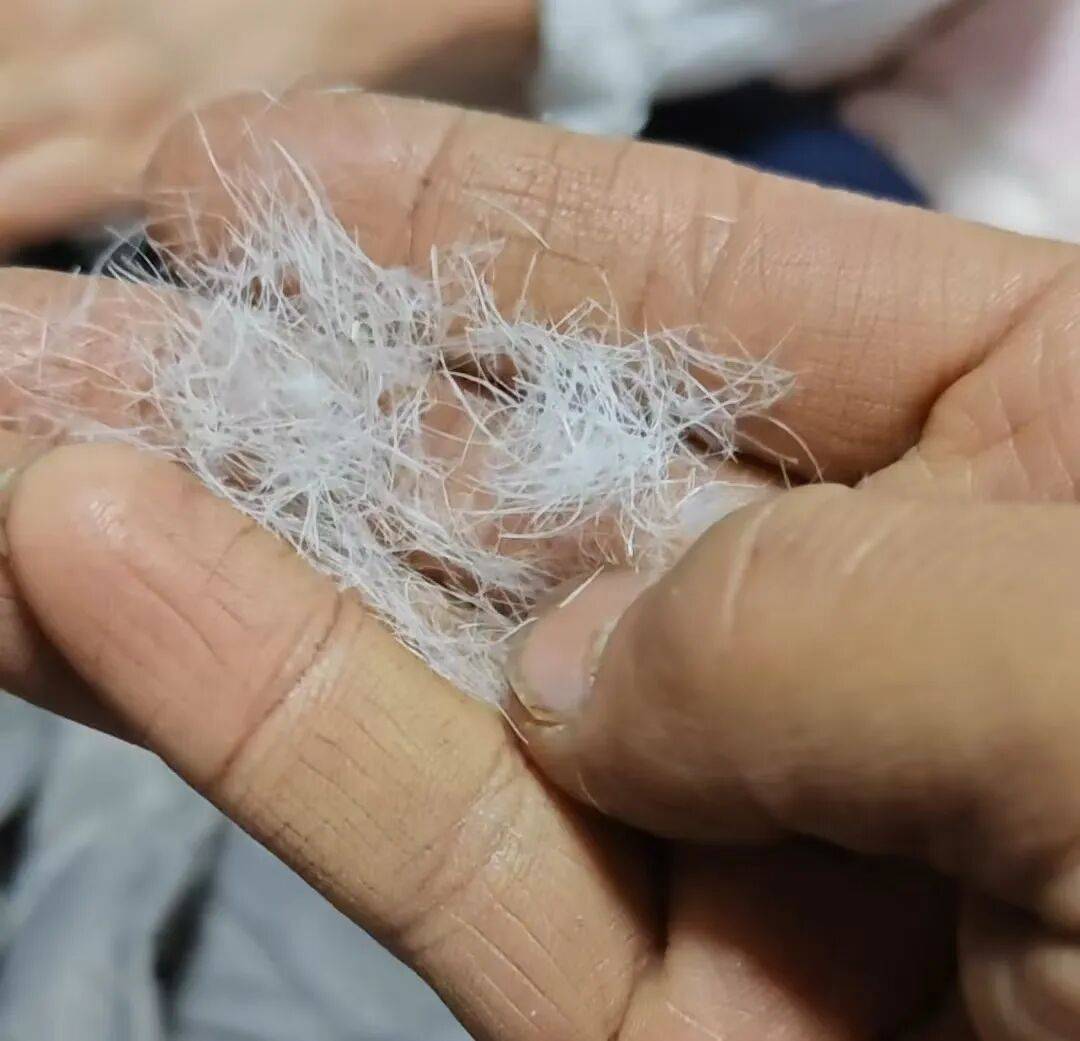 买抗寒睡袋鸭绒变鸭毛:消费者怀疑是假货 商家悄悄删改宣传(图2)