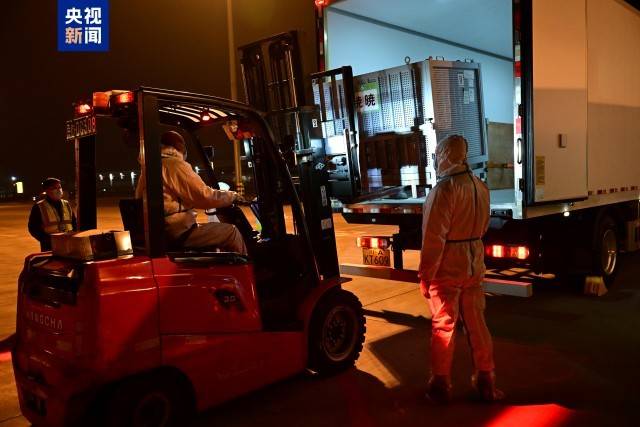 图片[5]-旅日大熊猫“晓晓”“蕾蕾”入住中国大熊猫保护研究中心雅安基地 -华闻时空