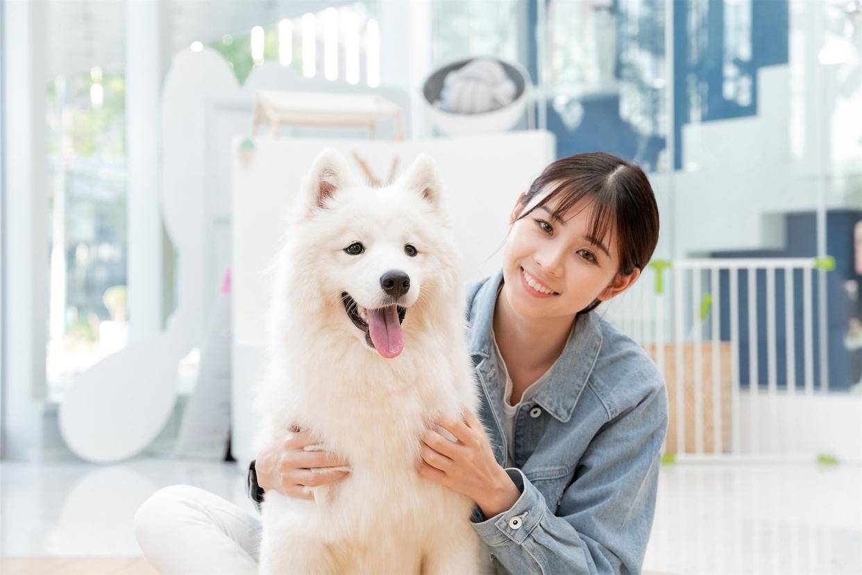 与恒生活绑定逐渐加深 “恒小花”的新出路会是