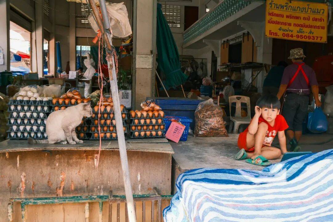 图片[21]-人均旅行焦虑的时代，我们为什么还要出发？-华闻时空